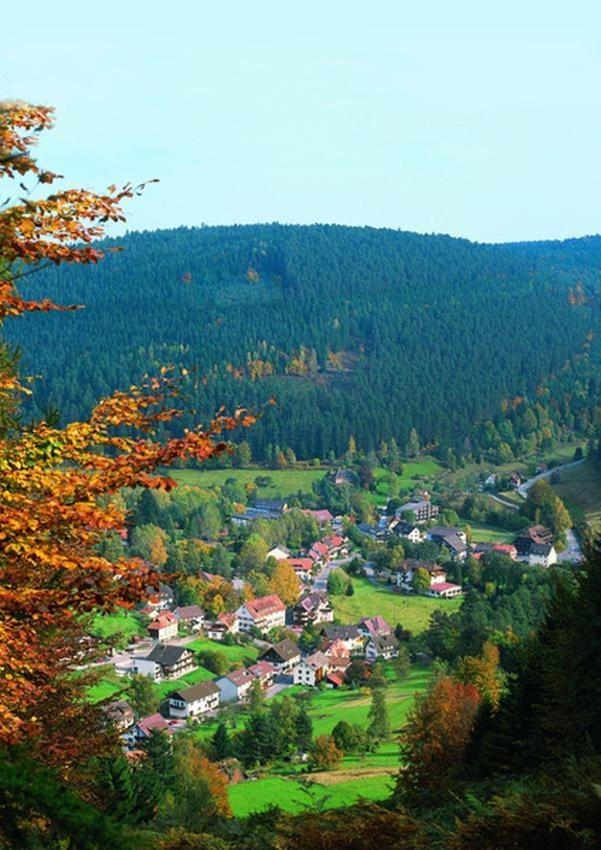 Hotel Schwarzwaldhof Enzklosterle Bagian luar foto